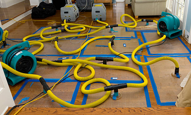 Professional Structural Drying And Dehumidification technician working in Camden, MS