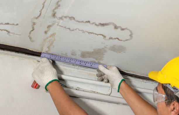 Affordable Water Damage Repair solutions in Camden, MS